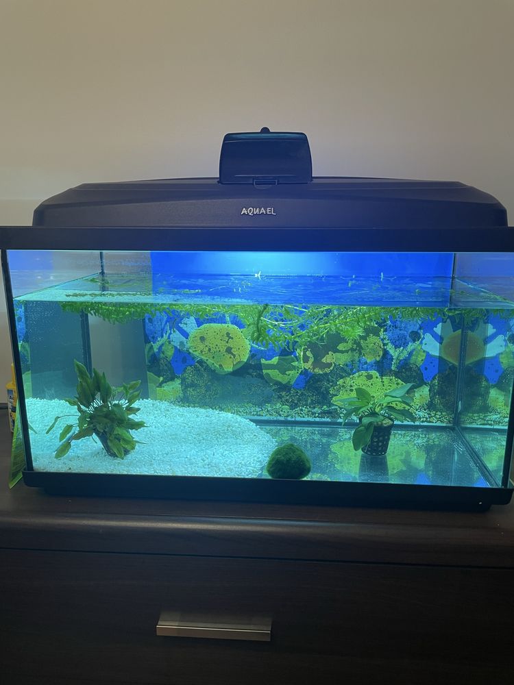 Akwarium 50 ltruw