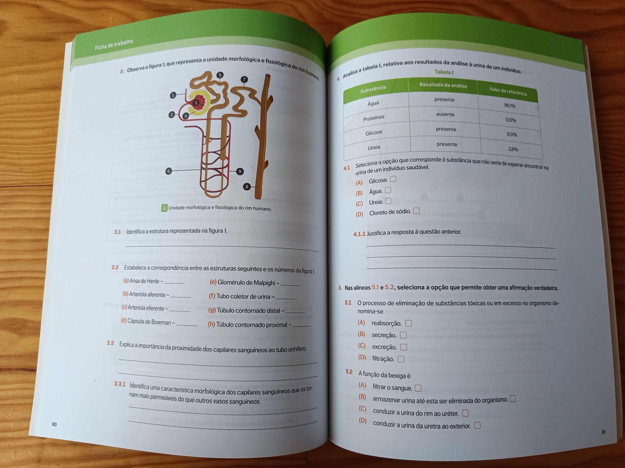 ADN 9 - Manual e caderno do aluno