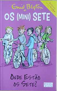 Livro "Os mini sete" - N.o 4