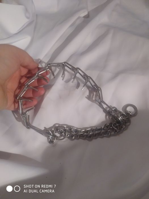 Строгий ошейник или парфорс для дрессировки собак на большую собаку