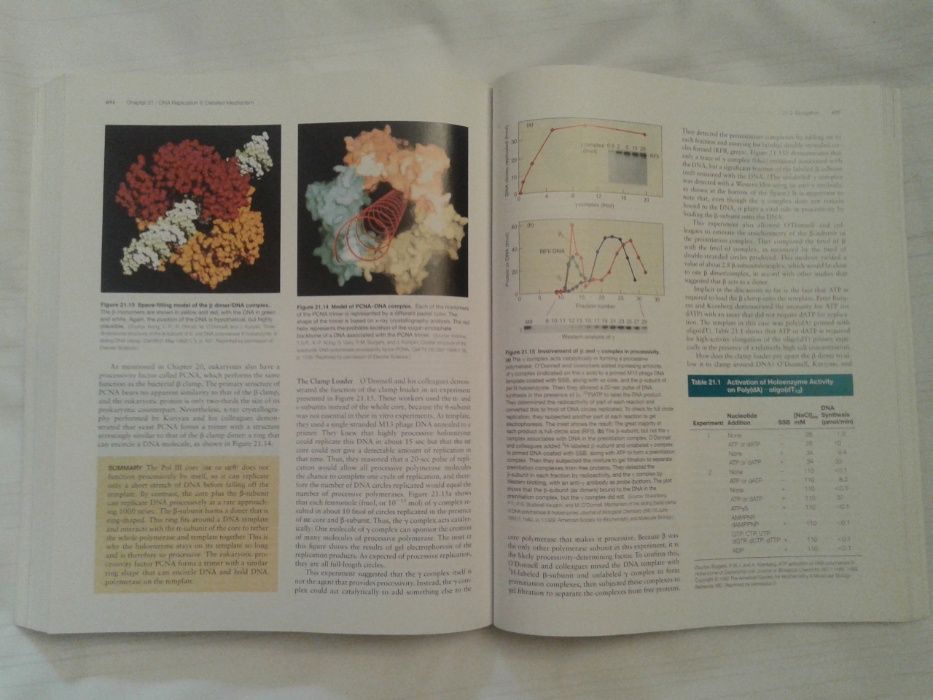 Livro Molecular Biology (Weaver)