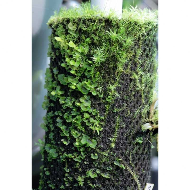 Hydrolon hygrolon podłoże do terrarium tropikalnego