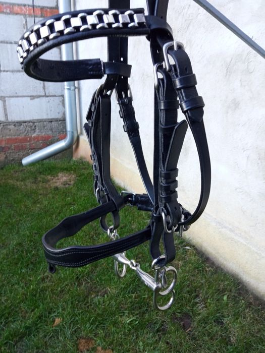 Ogłowie zaprzęgowe uzda kantar