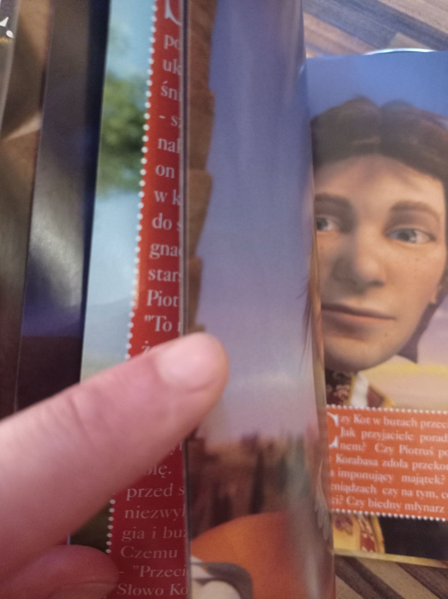 Prawdziwa historia Kot w butach DVD