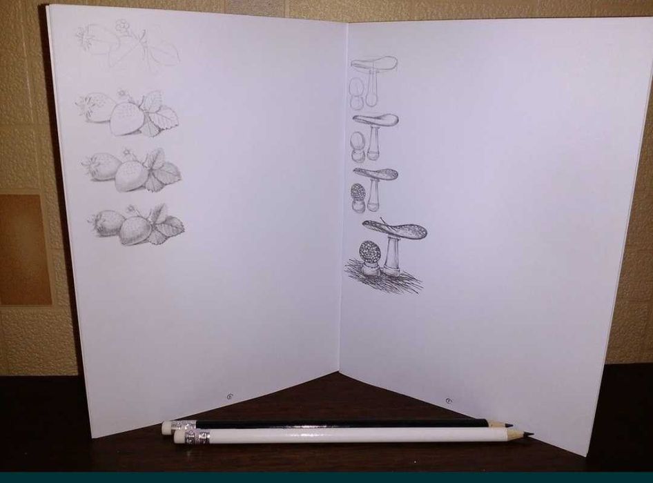 24 - 262 Скетч Маркери для малювання Тачь Touch дитячі Для рисования