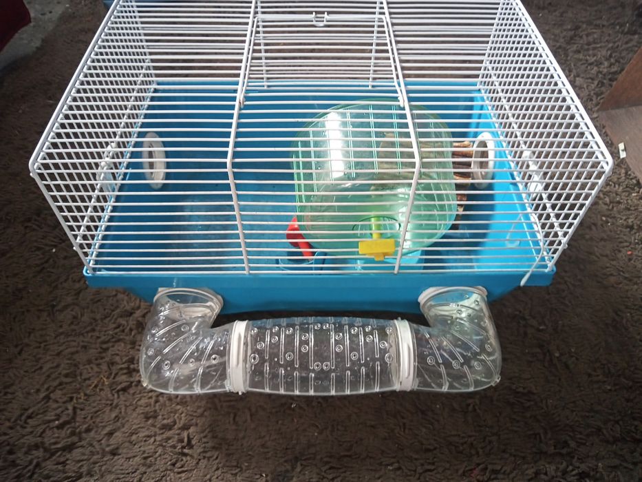 Klatka dla chonik/ gryzonia z wyposazeniem