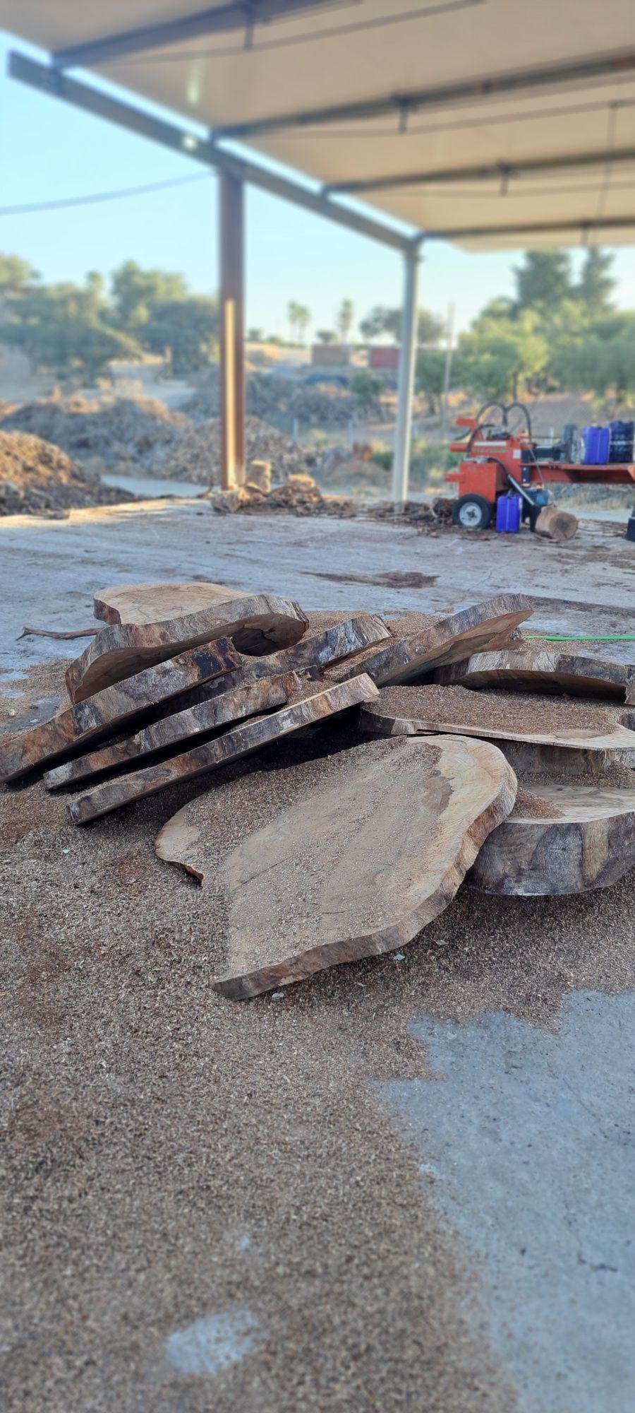 Pranchas de Sobreiro para mesas