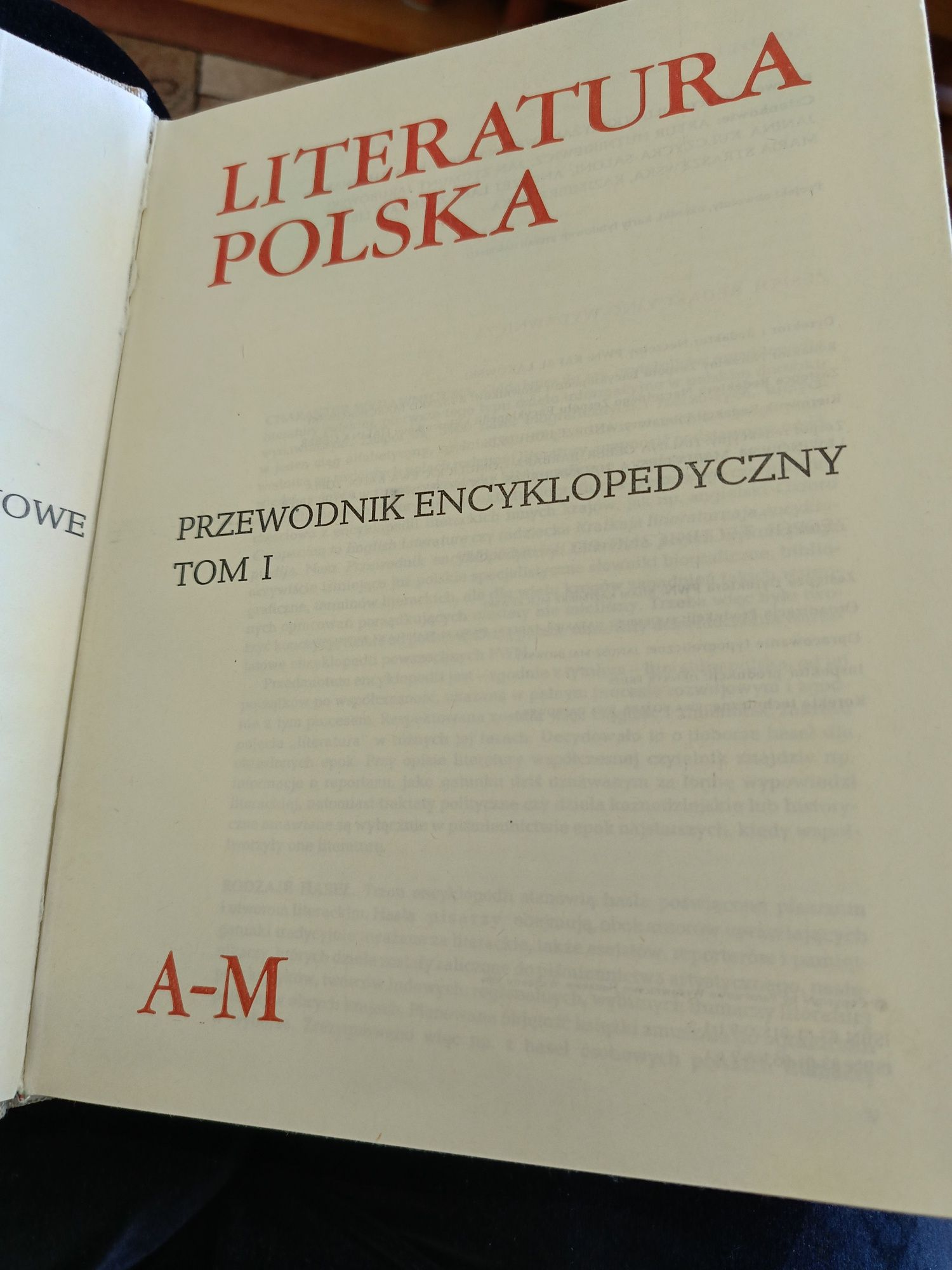 Sprzedam książkę literatura Polska