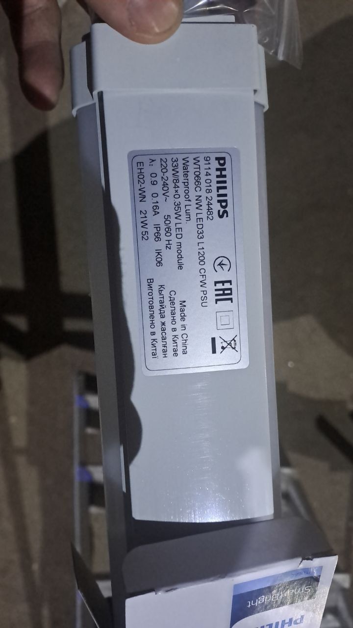 Світильники Phillips WT066C D33W IP65