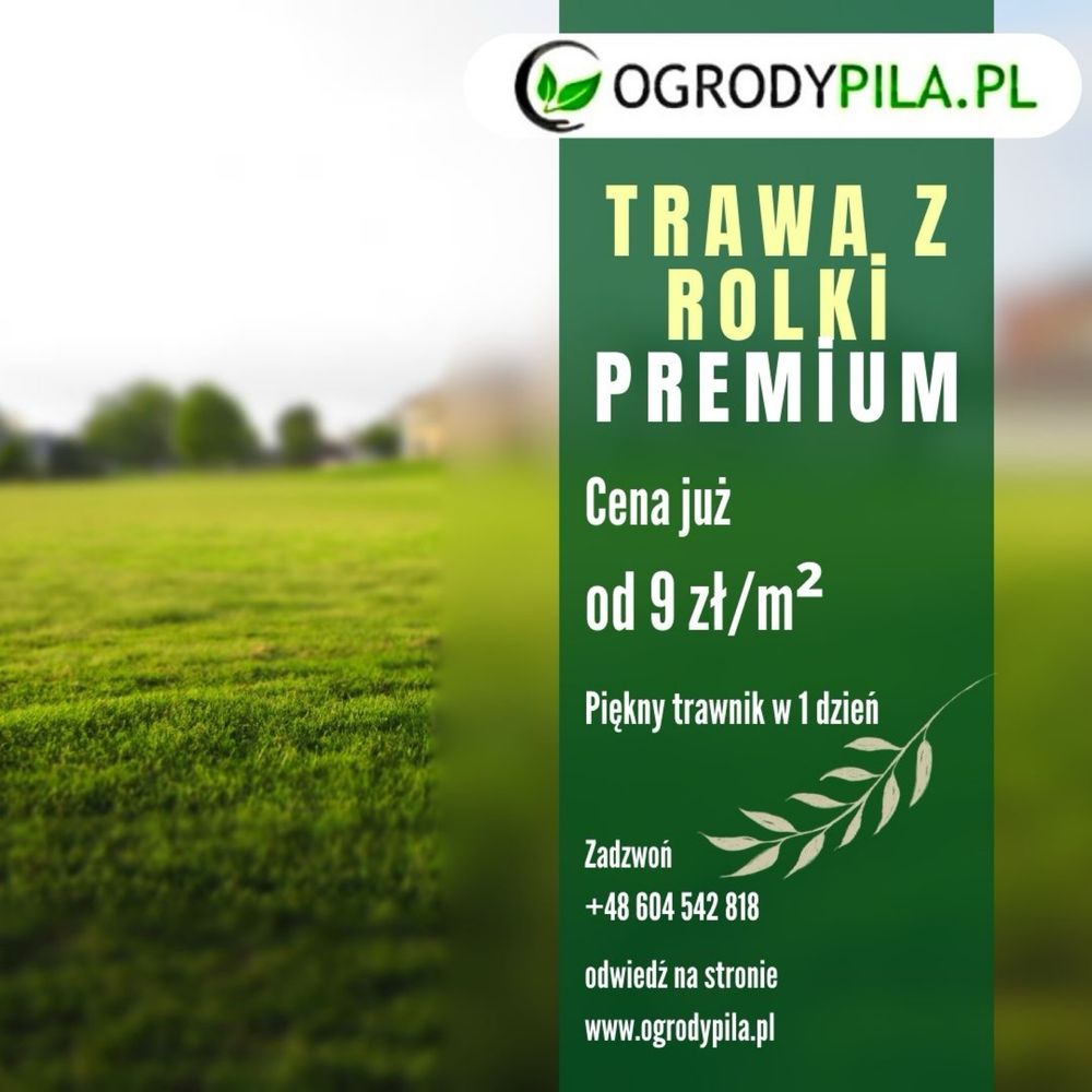 Trawa z rolki Premium