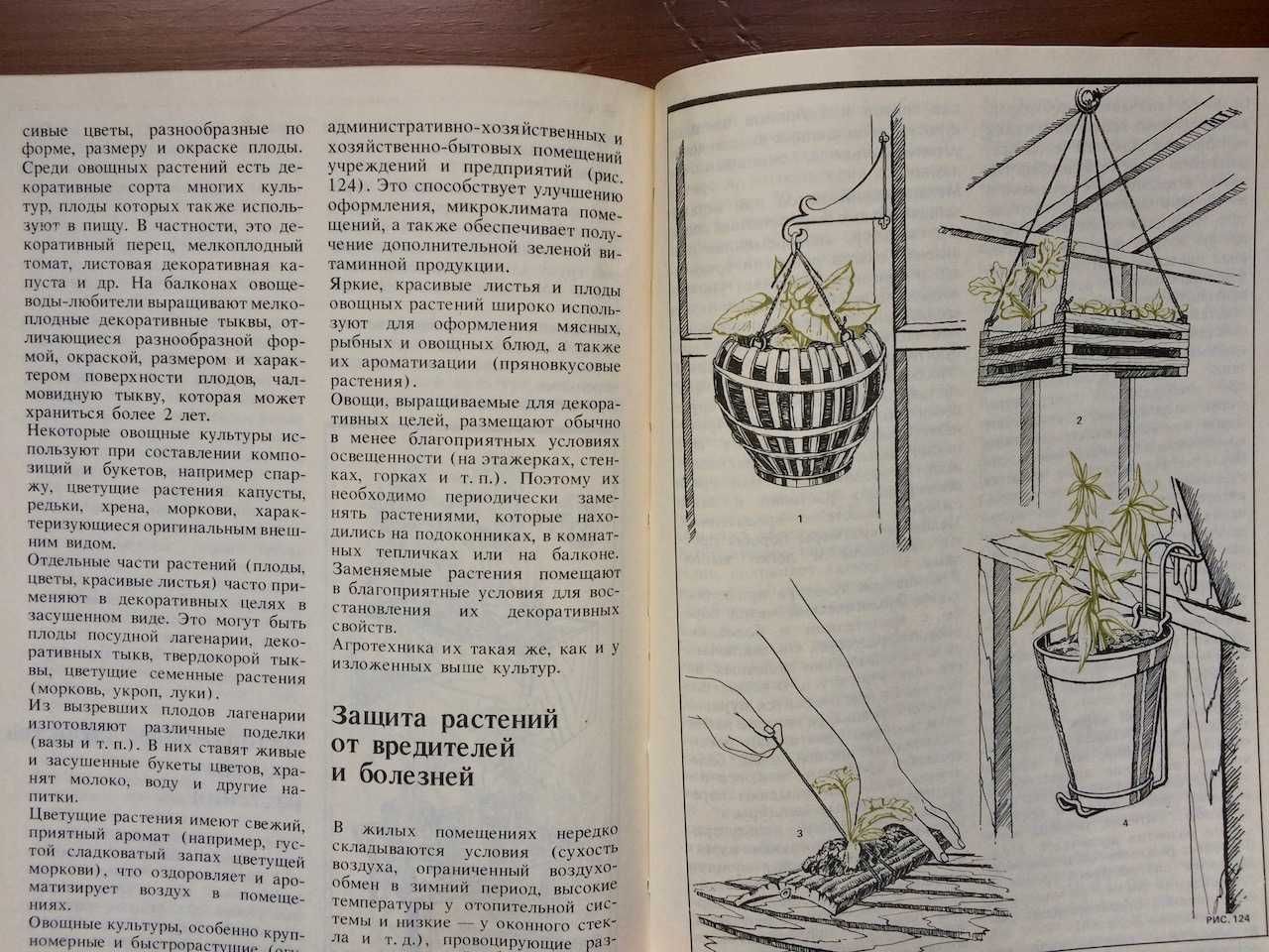 Книга Комнатное Овощеводство Гусев 1989