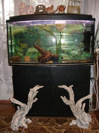 аквариум природа 180 литров с крышкой и тумбой