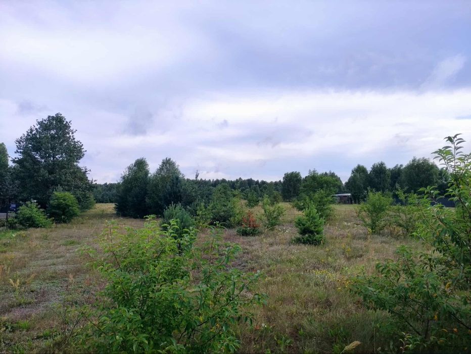 Działka rolno-budowlana Jacentów, Radoszyce, powiat konecki, Sielpia