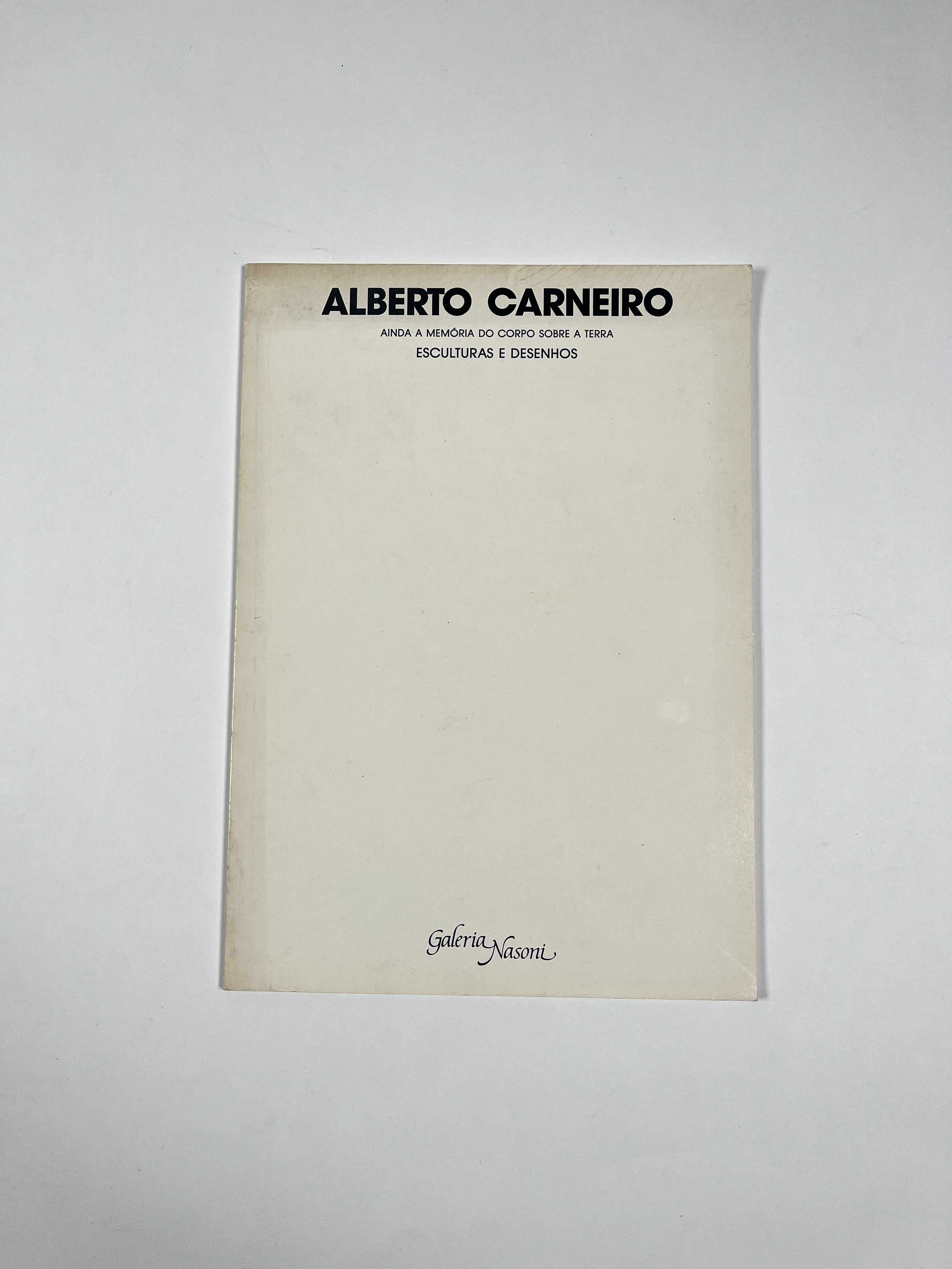 Alberto Carneiro Esculturas e Desenhos Galeria Nasoni 1989