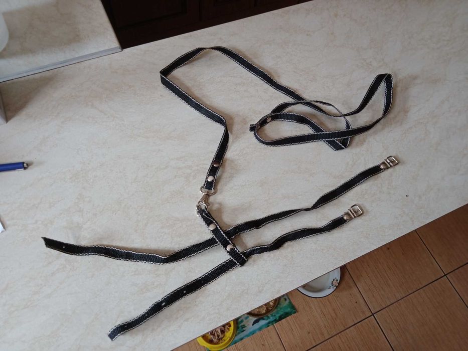 Поводок ошейник для мини собачек или кошек  б/у