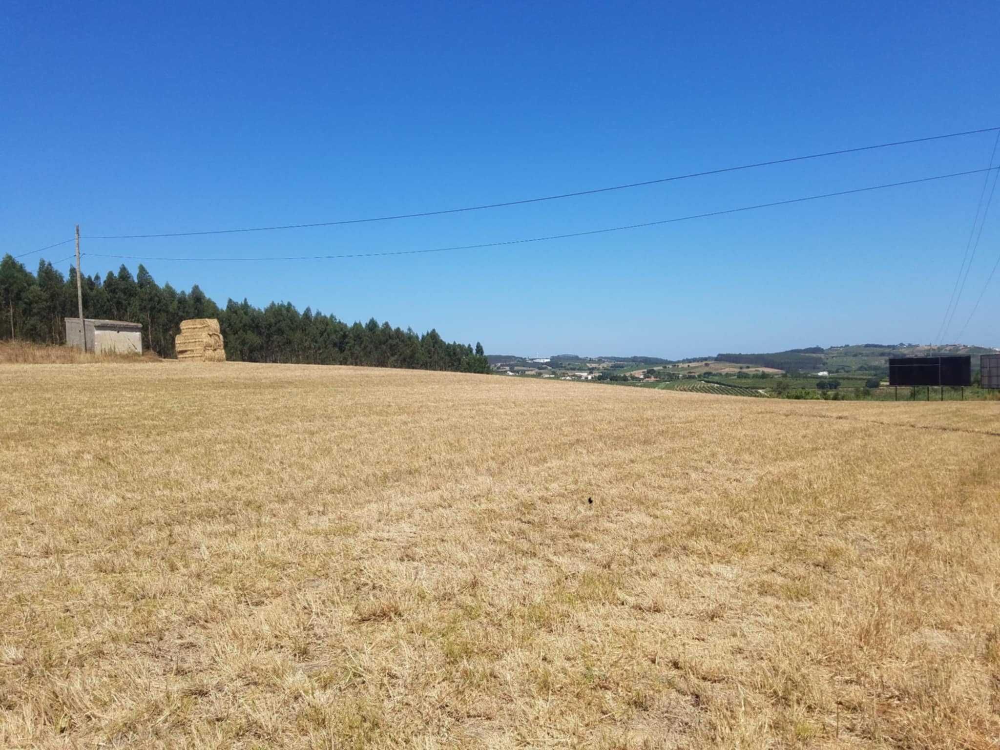 Terreno para arrendar em Bombarral junto da A8