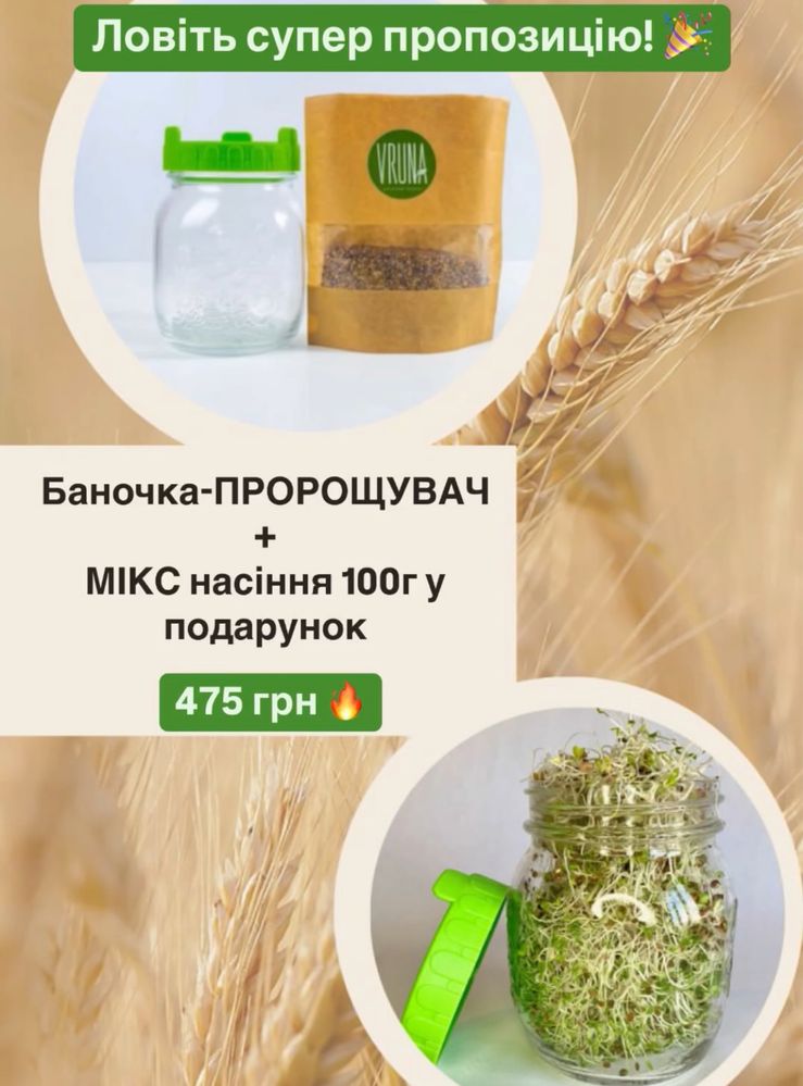 Акція! Мікрозелень , Баночка-пророщувач + Насіння в Подарунок!