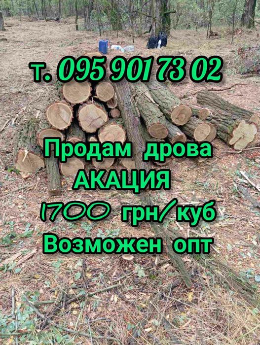 Продам дрова чистая Акация.