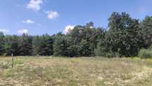 2439m2 Ostatnia działka budowlana w lesie Kościno Szczecin