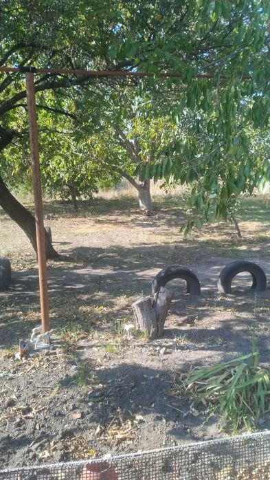 Продается участок16000 дол.