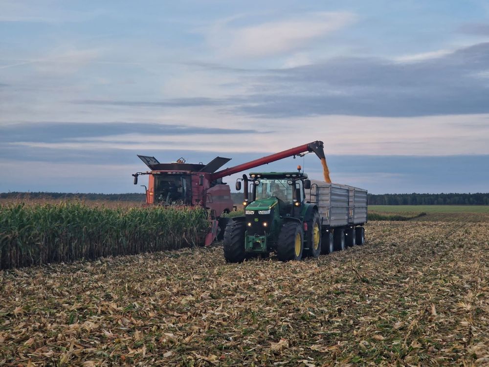 Siew MZURI Strip-till ładowarka oprysk prasowanie talerzowanie itp