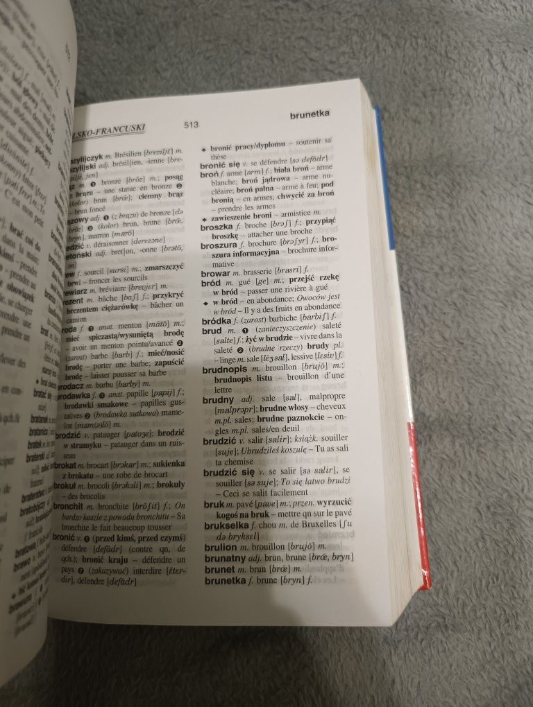 Słownik francusko-polski i gramatyka
