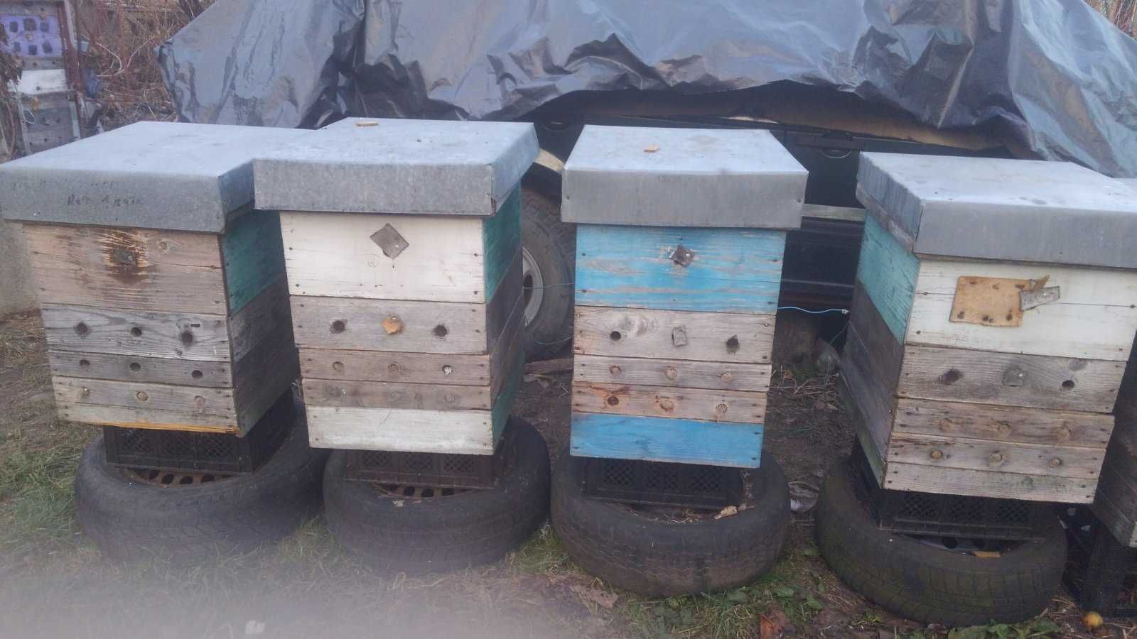 Вулики корпусніі дадан рута рамки утеплювач заставні  криша