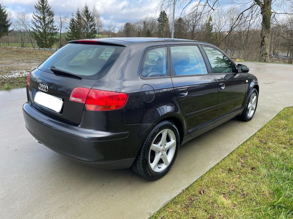 AUDI A3 8p 1.9tdi Sportback Klima Super Stan Po Dużym Serwisie