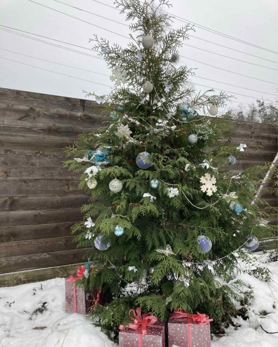 Подобова оренда будинку