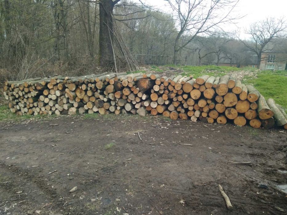 Продам дрова