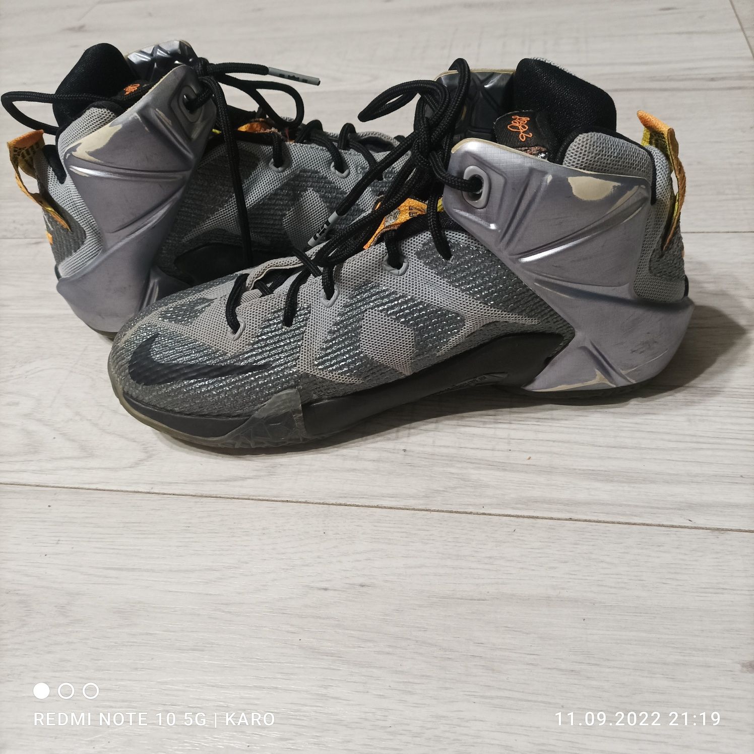 Nike LeBron James 12 flihgt