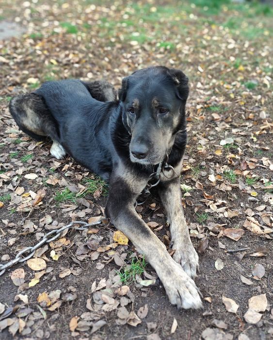 Терміново шукають родину