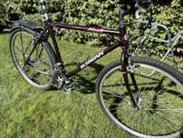 Rower Schwinn Moab