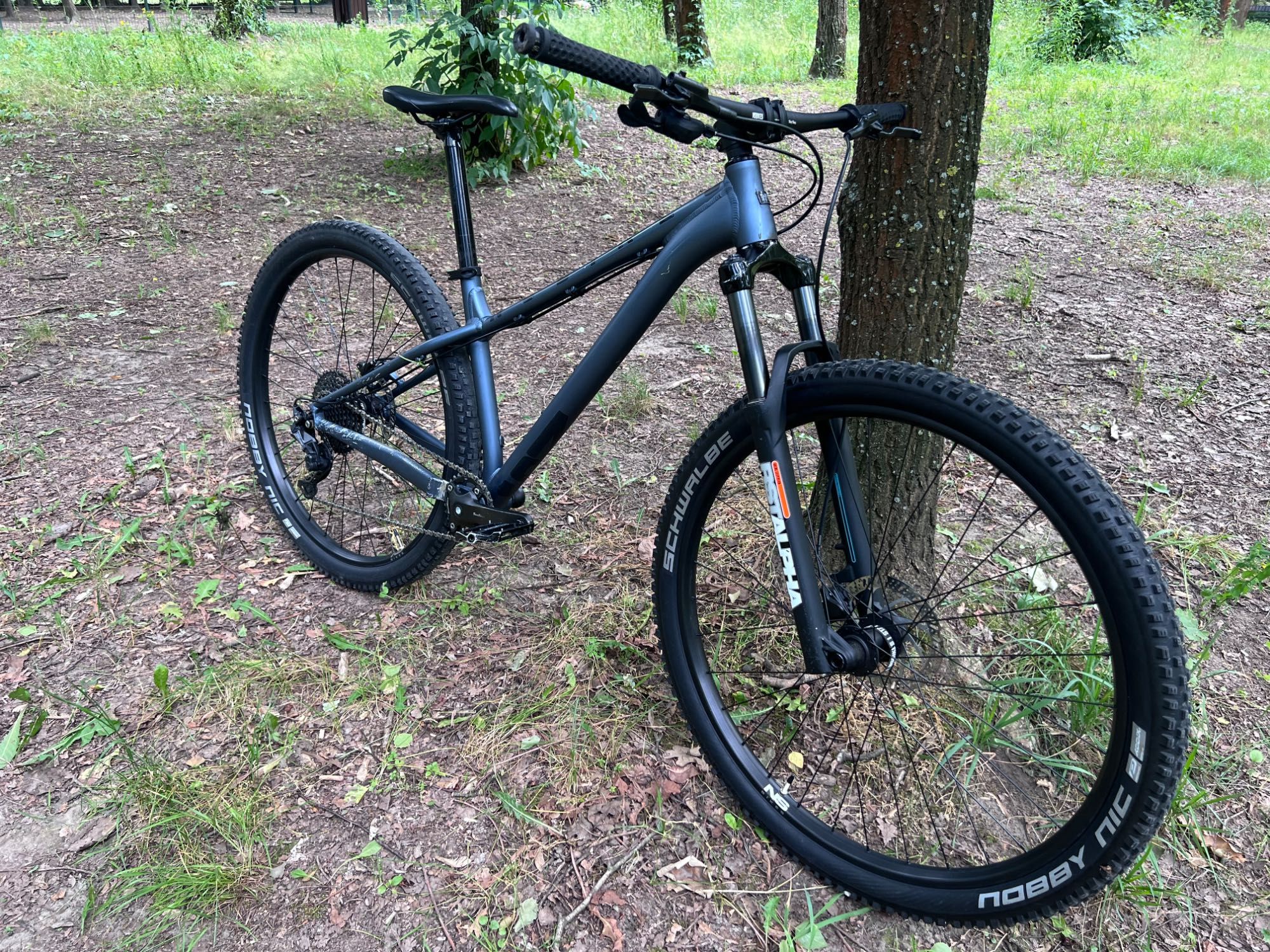 Rower MTB NS BIKES Eccentric Lite 2 29''
