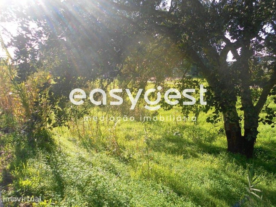 Lote de Terreno Urbano 253m2 para Moradia - Entroncamento