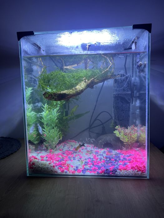 Akwarium z filtrem i oswietleniem