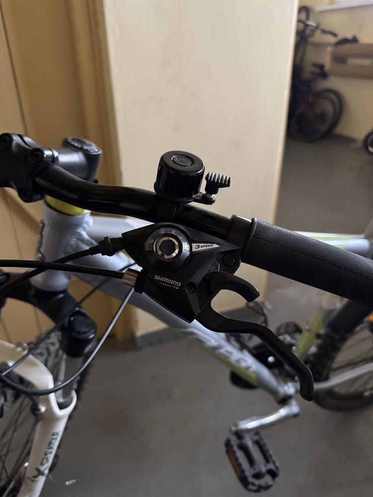 Rower górski Raleigh Storm 2.0 Disc