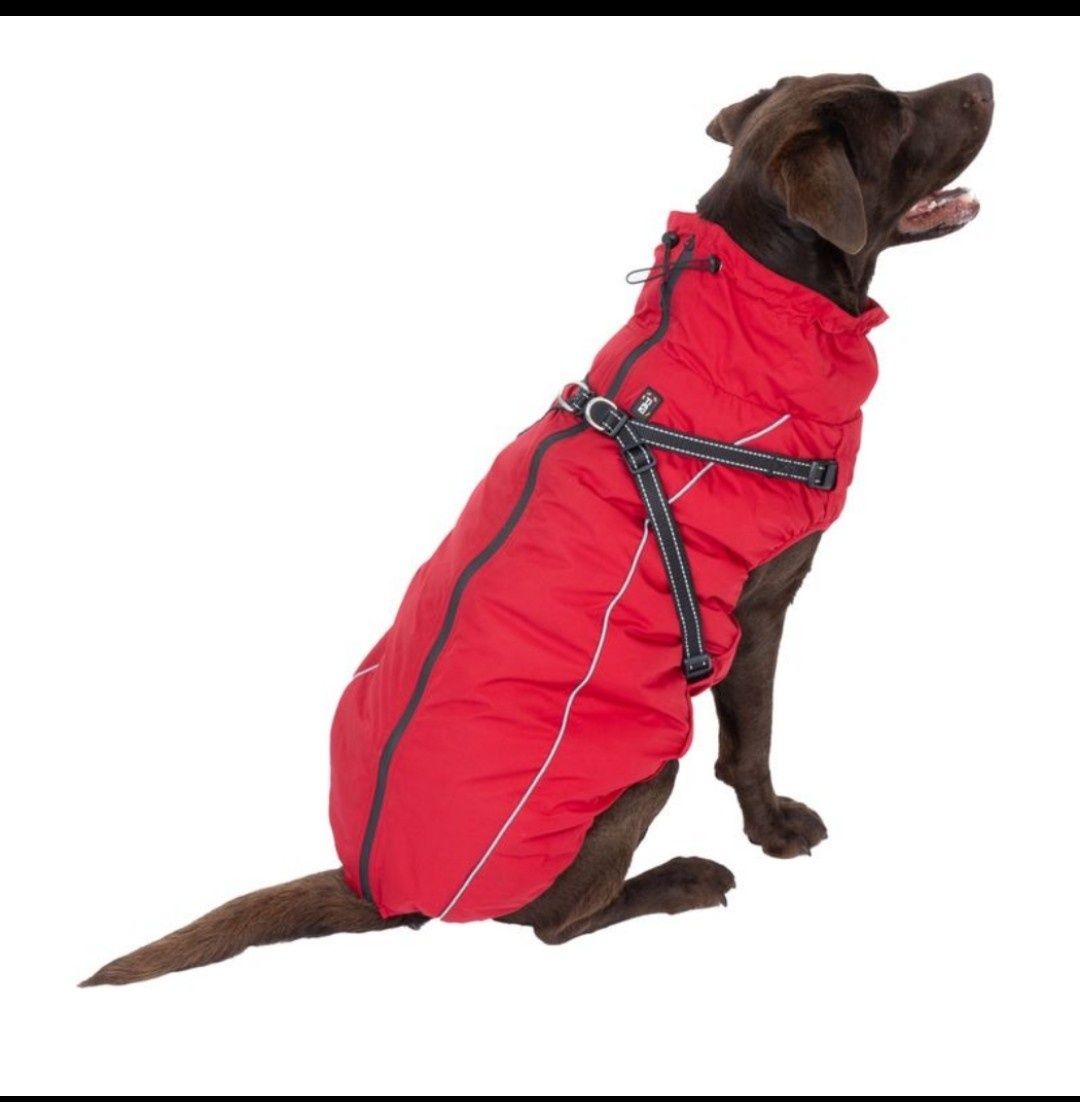 Impermeável para  cão