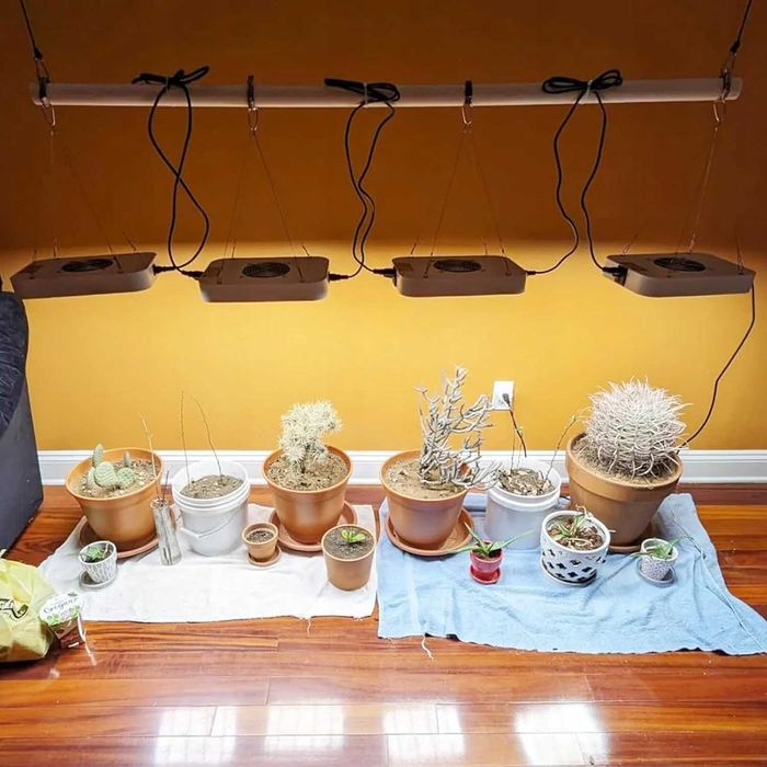 Светодиодная фитолампа JINHONGTO мощностью 130 Вт для рослин