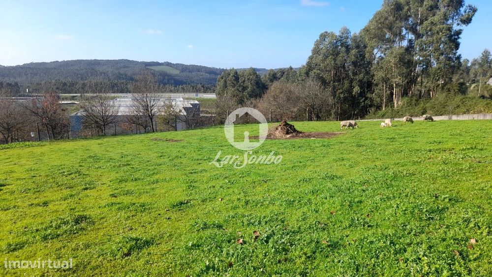 Terreno de construção com 4.995m2 em Calendário, Vila Nova de Famal...