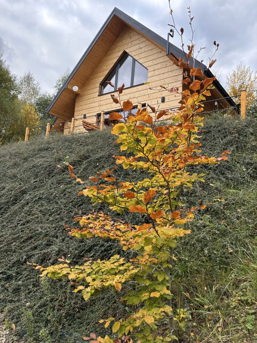Domki z kominkiem w Bieszczadach nad Soliną z widokiem na jezioro,góry