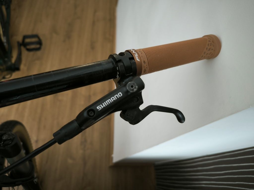 Bicicleta Trek Remedy 8