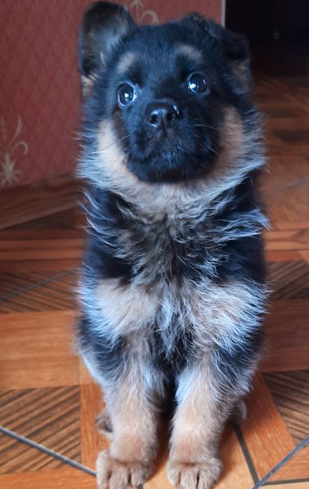 Найкращі охоронці