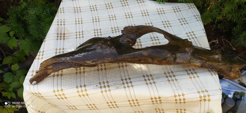 Konar z otworem do akwarium-57 cm