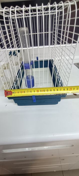 Klatka dla kanarka lub małego ptaszka