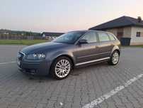 Audi a3 8p 2.0tdi 170 quattro