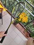 Rakieta squash karakal raw 120 titanium