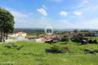 Quintinha, para venda, Fafe - Vinhos