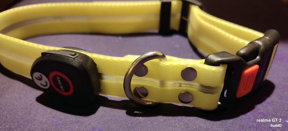 Świecąca obroża dla psa ładowana na USB