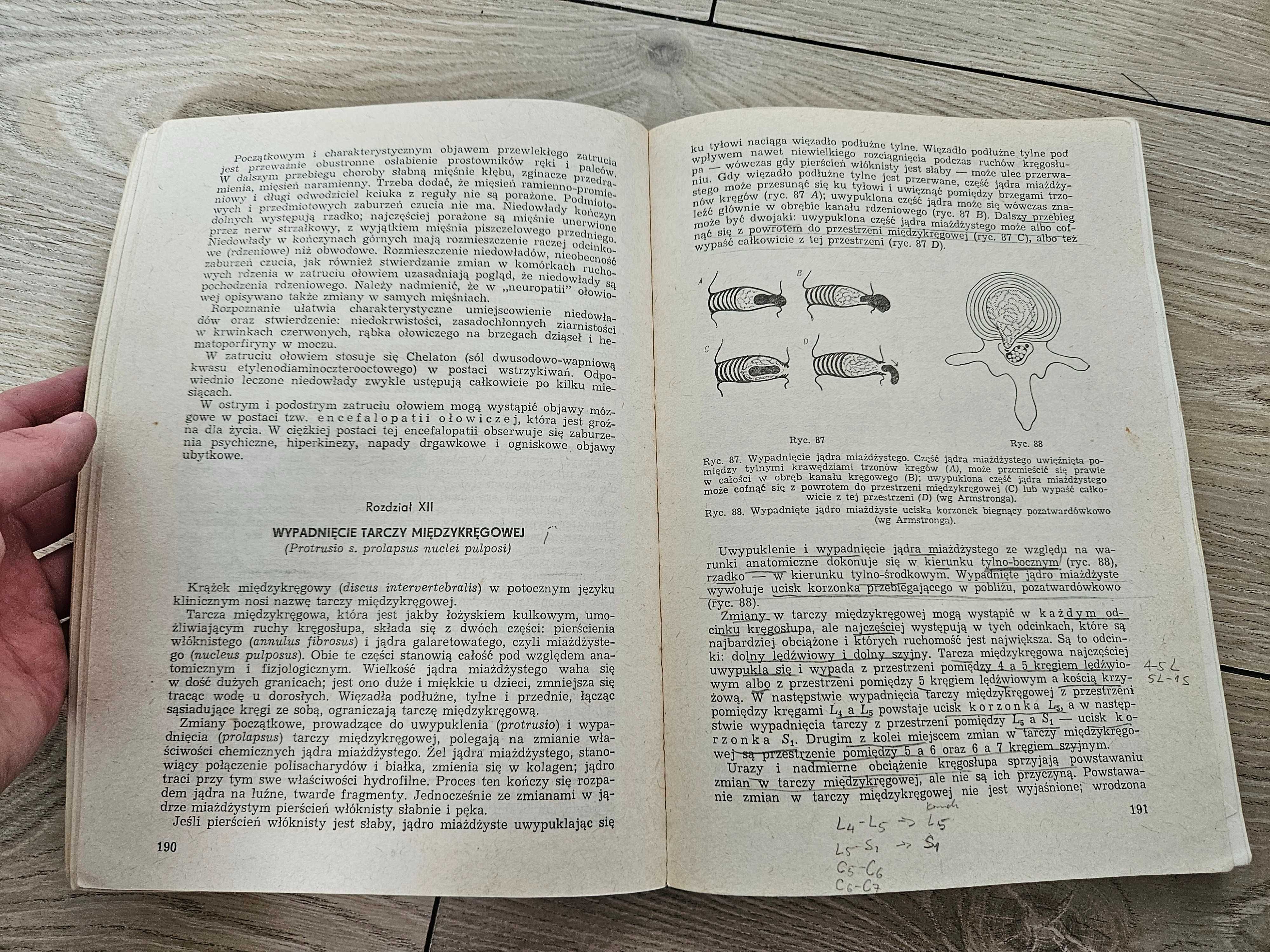Neurologia kliniczna w zarysie Jakimowicz